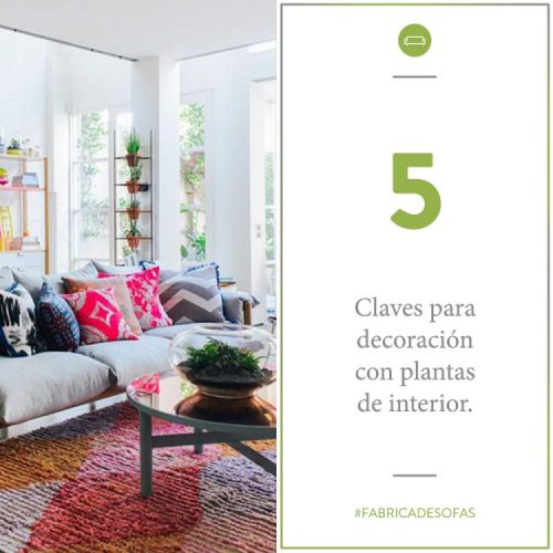 Living con plantas e inteior